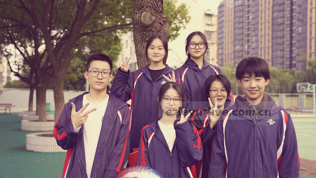 移动端数据 随时查证